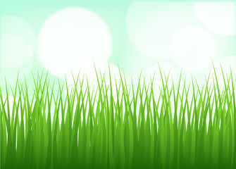 Obraz premium Grassline Background