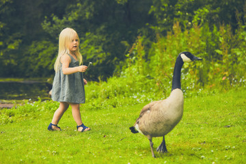 Curious little girl and cackling crane at farm