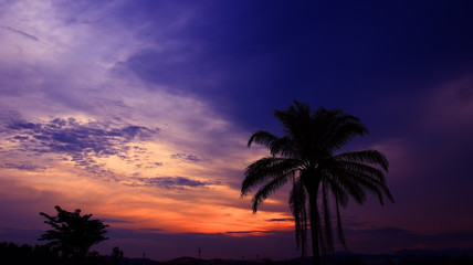 Fototapeta na wymiar coconut tree silhouette tropical colorful sky at sunset beautiful background with copy space add text