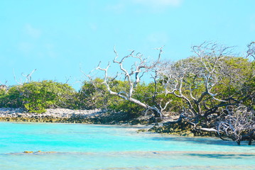 caribbean, trees, rest, island, beach, summer, nature