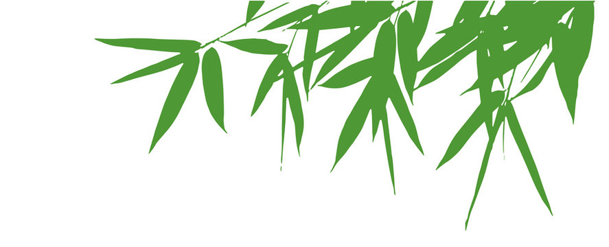 Bamboo Leaves Silhouette