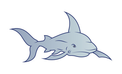 Shark Fish Vector