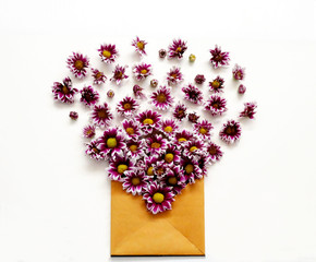 Flower buds with open paper envelope on white background. Love letter. Flay lay composition.