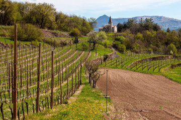 mountain church in the background of vineyards