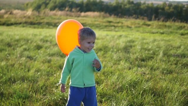Cute boy standing with balloons in field