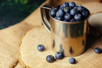 Blueberries in mug