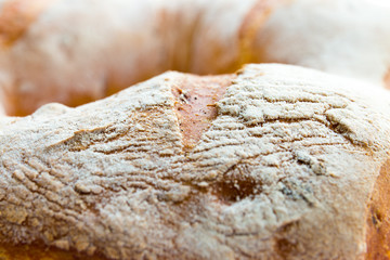 Onion bread close up background