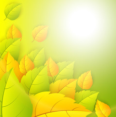Green Leaves Vector Background - autumn style Background