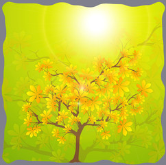 Autumn Tree Background