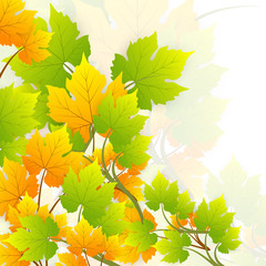 Fresh Leaves Vector Background