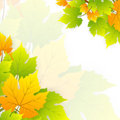 Autumn Leaves Holiday Background