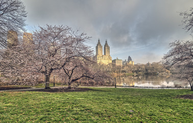 Obraz premium Central Park, New York City spring