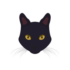 Black cat with yellow eyes. Black Cat vector Illustration.