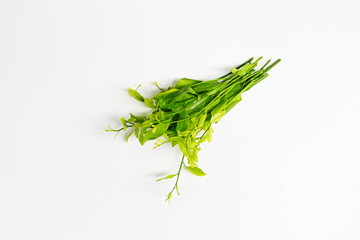 Fresh melientha suavis on white background