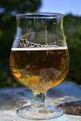 glass of beer