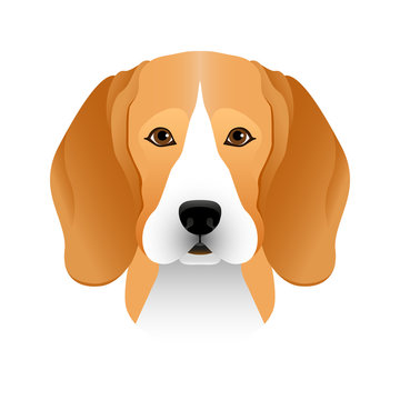 Isolated colorful head and face of beagle on white background. Line color flat cartoon breed dog portrait.