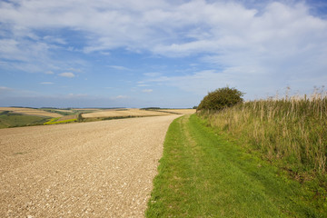 chalky soil and bridleway
