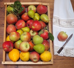 manzanas y fruta de la huerta