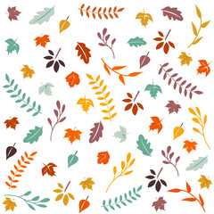 Obraz premium Hello Autumn. Autumn leaves background.