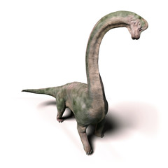 Brachiosaurus altithorax dinosaur from the Late Jurassic, isolated on white background