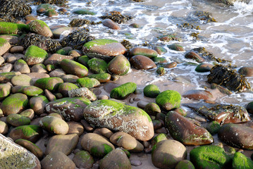 Steinlandschaft am Ufer