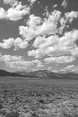 Fototapeta na wymiar Open field and pasture in rural landscape in Rocky Mountains