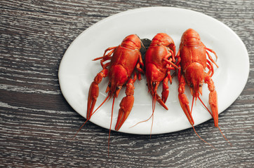 Crayfish on a white plate on a dark background