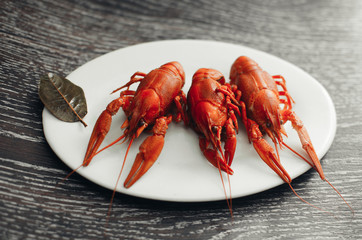 Crayfish on a white plate on a dark background