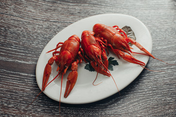 Crayfish on a white plate on a dark background