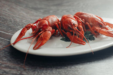 Crayfish on a white plate on a dark background