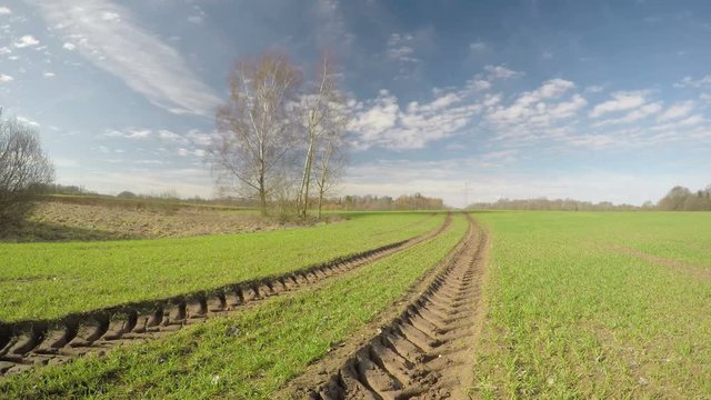 Beautiful spring crop wheat field and clouds motion, time lapse
