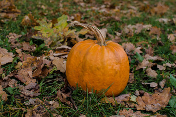 Autumn time