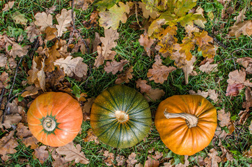 Autumn time