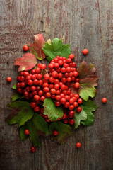 Rowan berries on vintage wooden boards