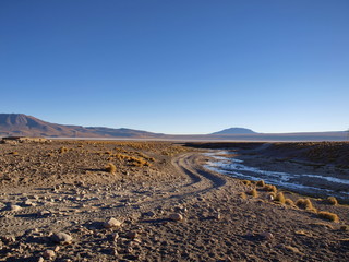 altiplano bolivia