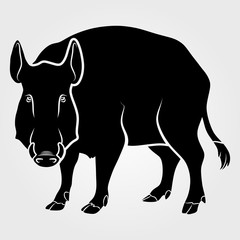 Wild boar icon isolated on white background.