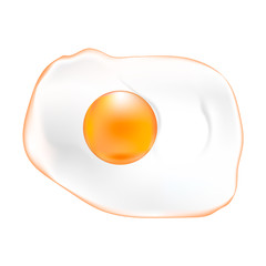 Fried egg. Omelet. Vector.