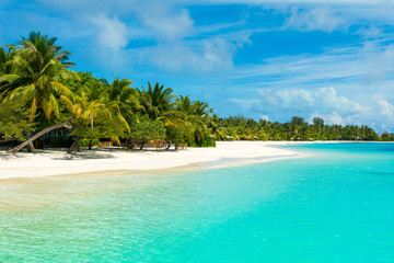 Fototapeta na wymiar Beautiful sandy beach with sunbeds and umbrellas in Indian ocean, Maldives island