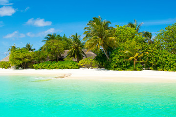 Fototapeta na wymiar Beautiful sandy beach with sunbeds and umbrellas in Indian ocean, Maldives island