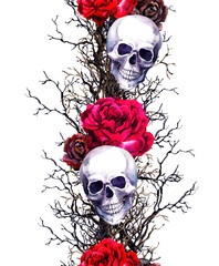 Human skulls with rose flowers, branches. Seamless border frame. Watercolor
