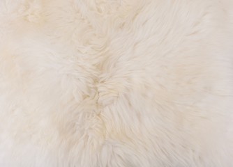 Detail of White Fluffy Wool Texture Background