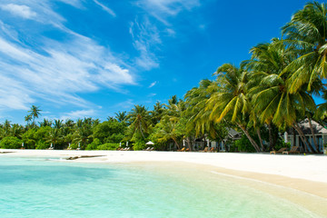 Fototapeta premium Beautiful sandy beach with sunbeds and umbrellas in Indian ocean, Maldives island