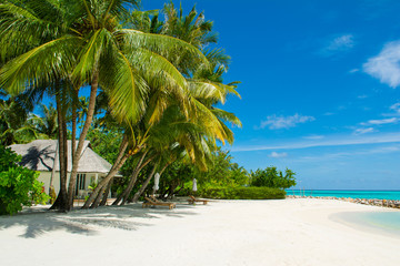 Beautiful sandy beach with sunbeds and umbrellas in Indian ocean, Maldives island