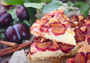 Plum pie with fresh plums