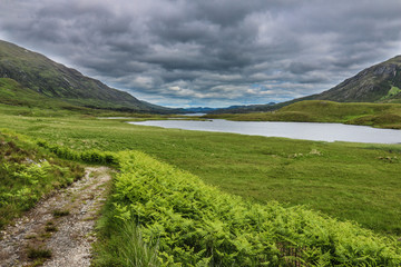 Naklejka premium Glen Affric - Cannih - Scotland