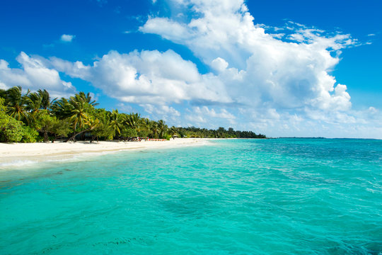 Beautiful sandy beach with sunbeds and umbrellas in Indian ocean, Maldives island