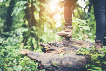 Shoes Man walking on a forest path in autumn and Lifestyle hiking concept.
