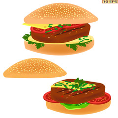 Fried cutlet. Chop. Meat rissoles. Burger with cutlet. Rissole. Cutlet with bread. Green vegetables and tomato and meat rissole. Cutlet in the plate. Vector illustration.
