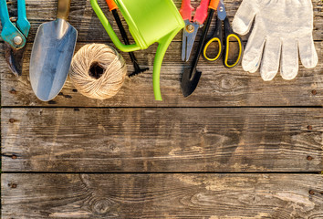 Gardening tools and watering can on wooden background