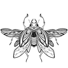 Beetle bug tattoo drawing. Scarab bug illustration